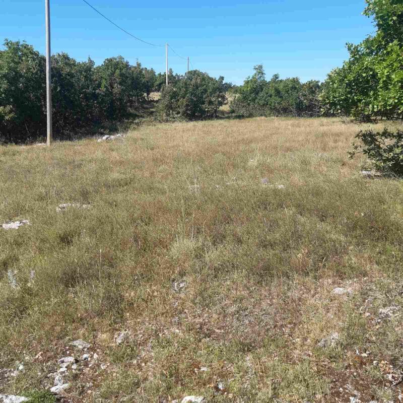 Terreno a Nikšić, Montenegro, 36 000 m2 - foto 6