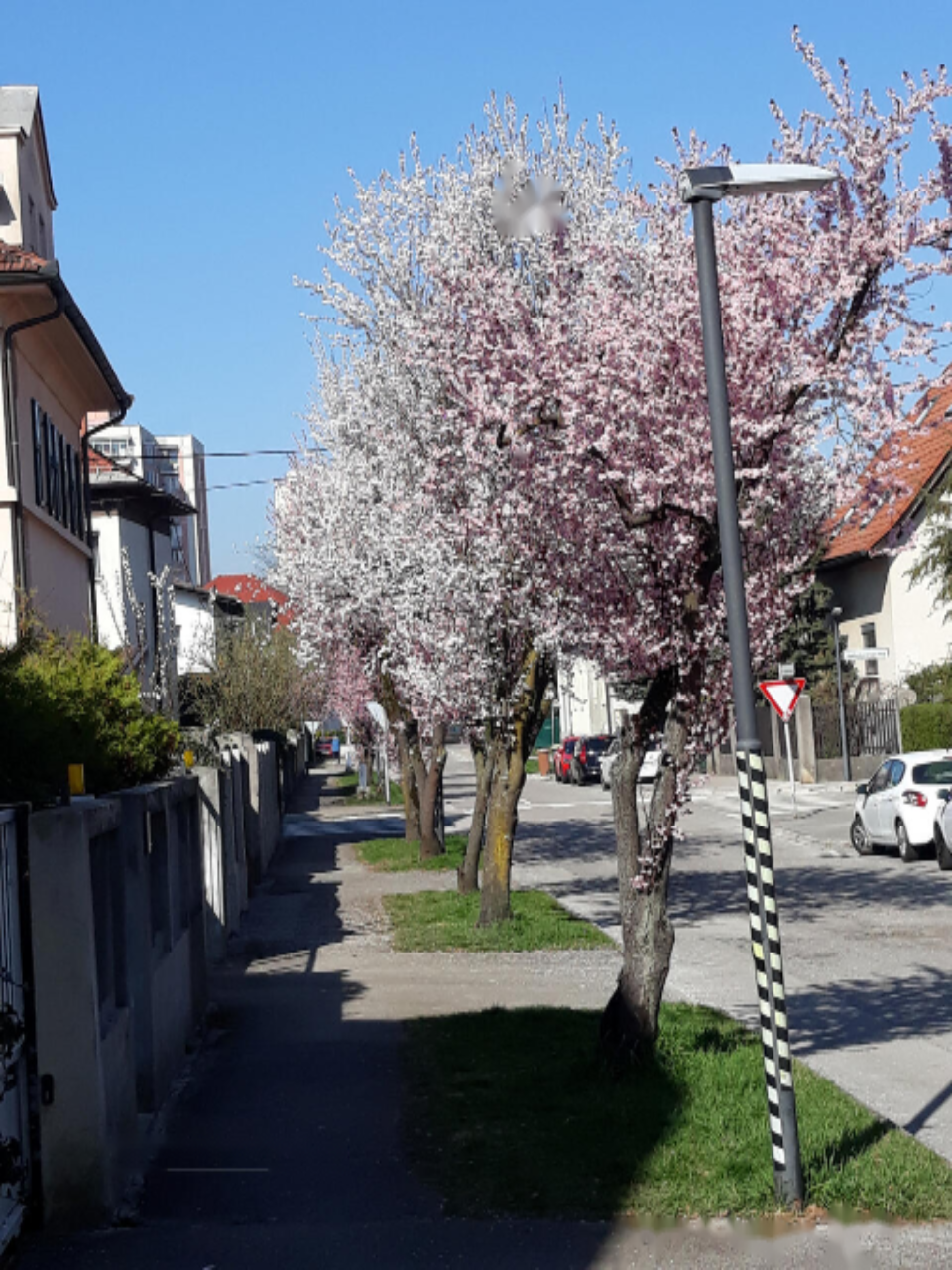 Casa en Liubliana, Eslovenia, 328 m² - imagen 1