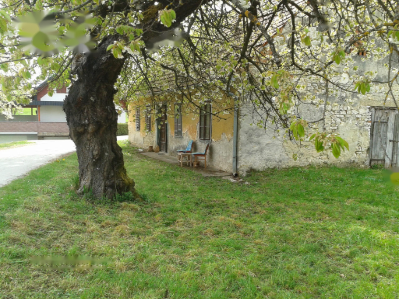 Ferme à Pivka, Slovénie, 20 200 m² - image 1