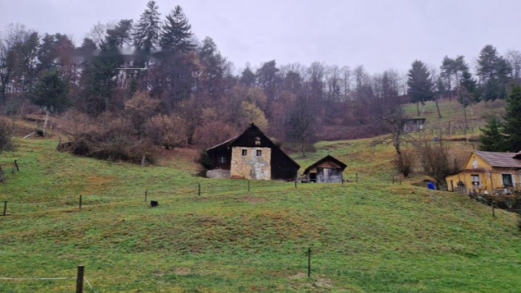 Ferme à Polzela, Slovénie, 8 075 m² - image 4