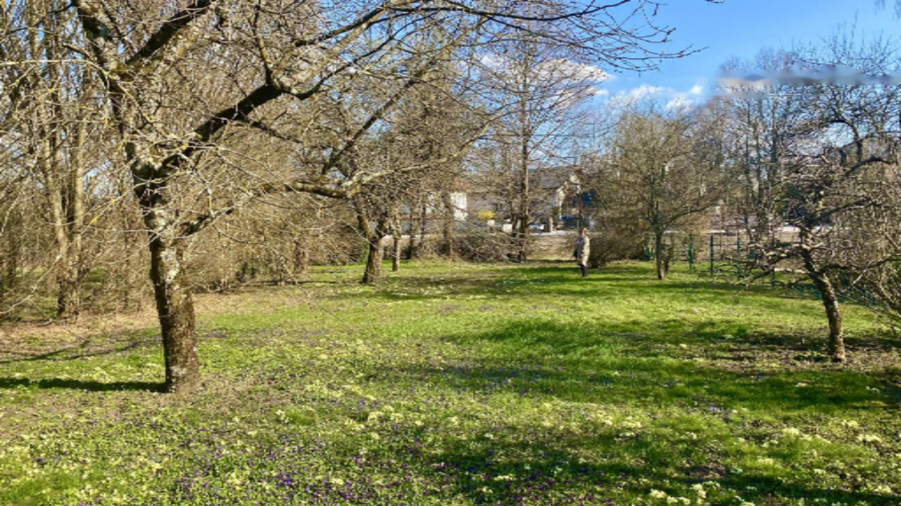 Casa en Liubliana, Eslovenia, 250 m² - imagen 5