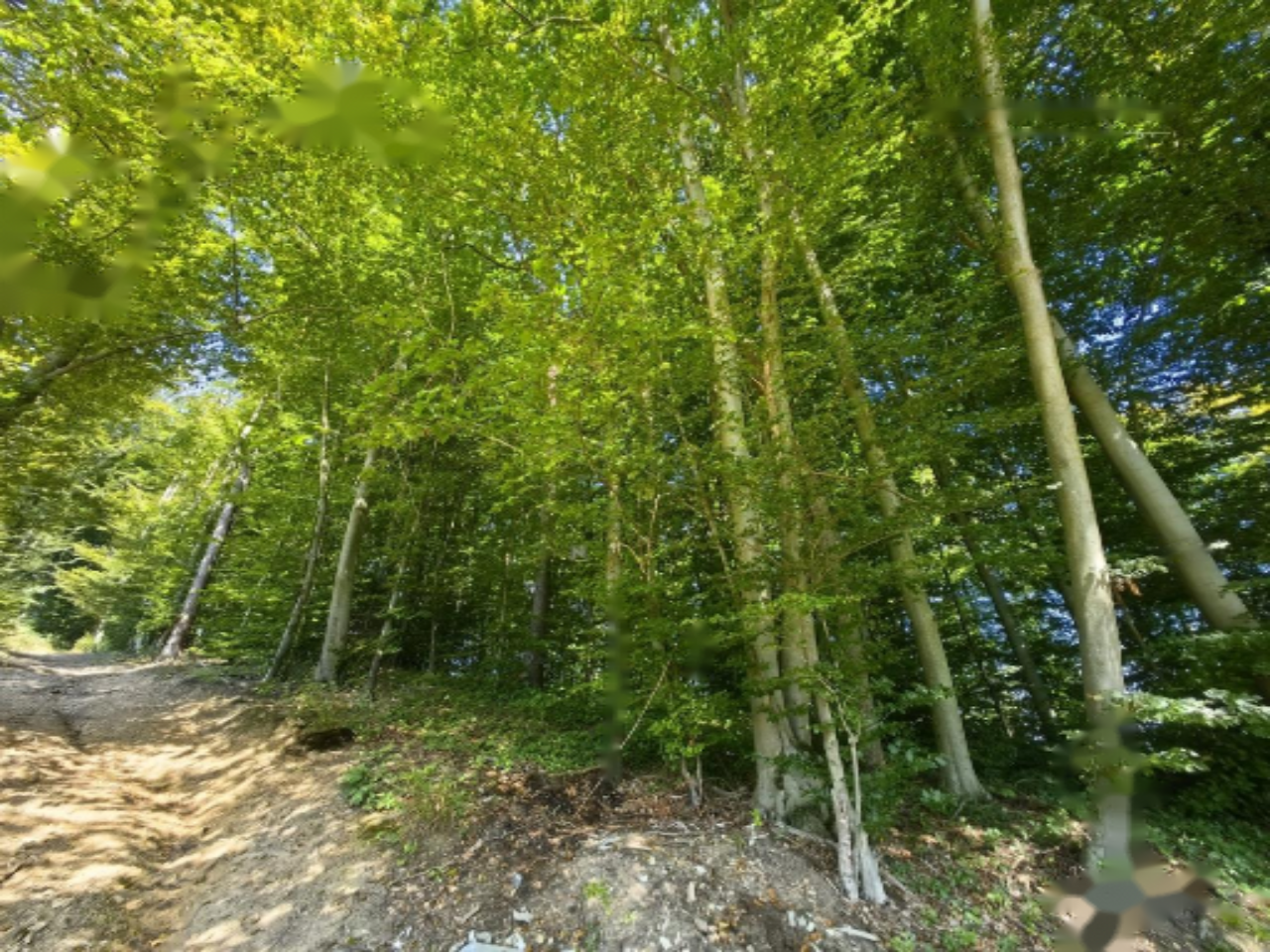 Casa en Liubliana, Eslovenia, 289 m² - imagen 5