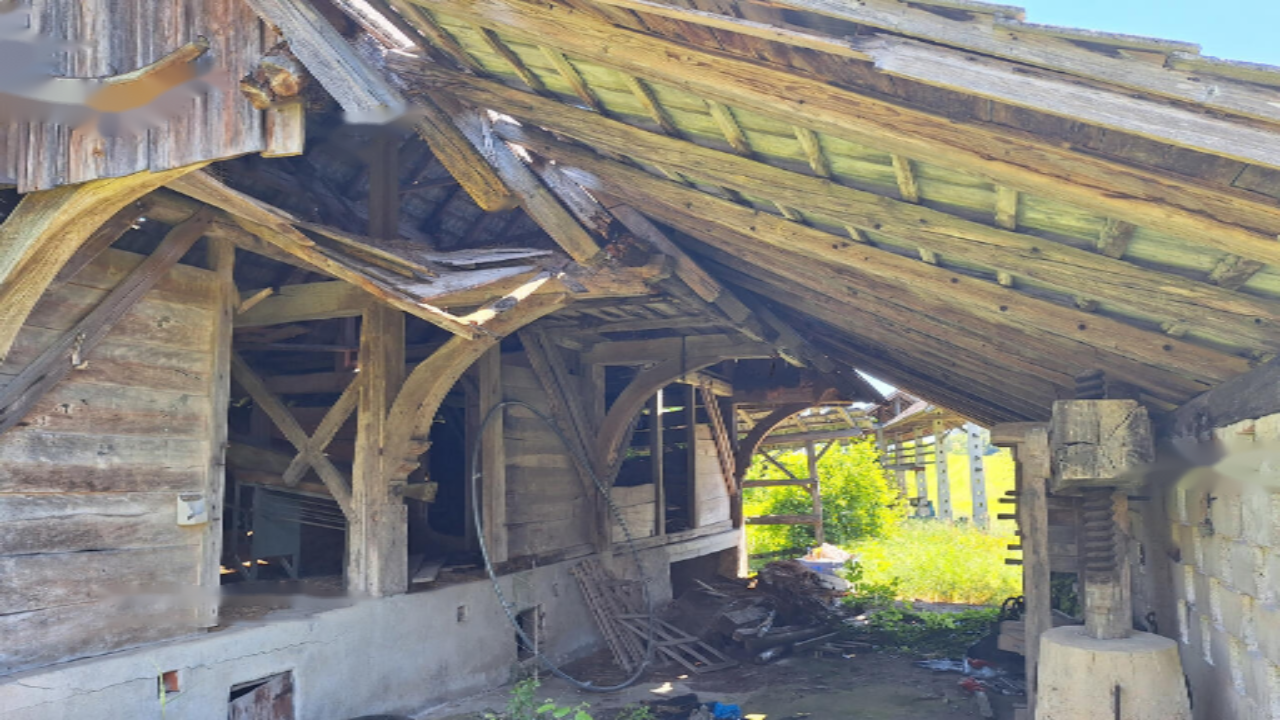 Granja en Trebnje, Eslovenia, 111 247 m² - imagen 8