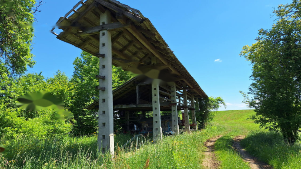 Granja en Trebnje, Eslovenia, 111 247 m² - imagen 9