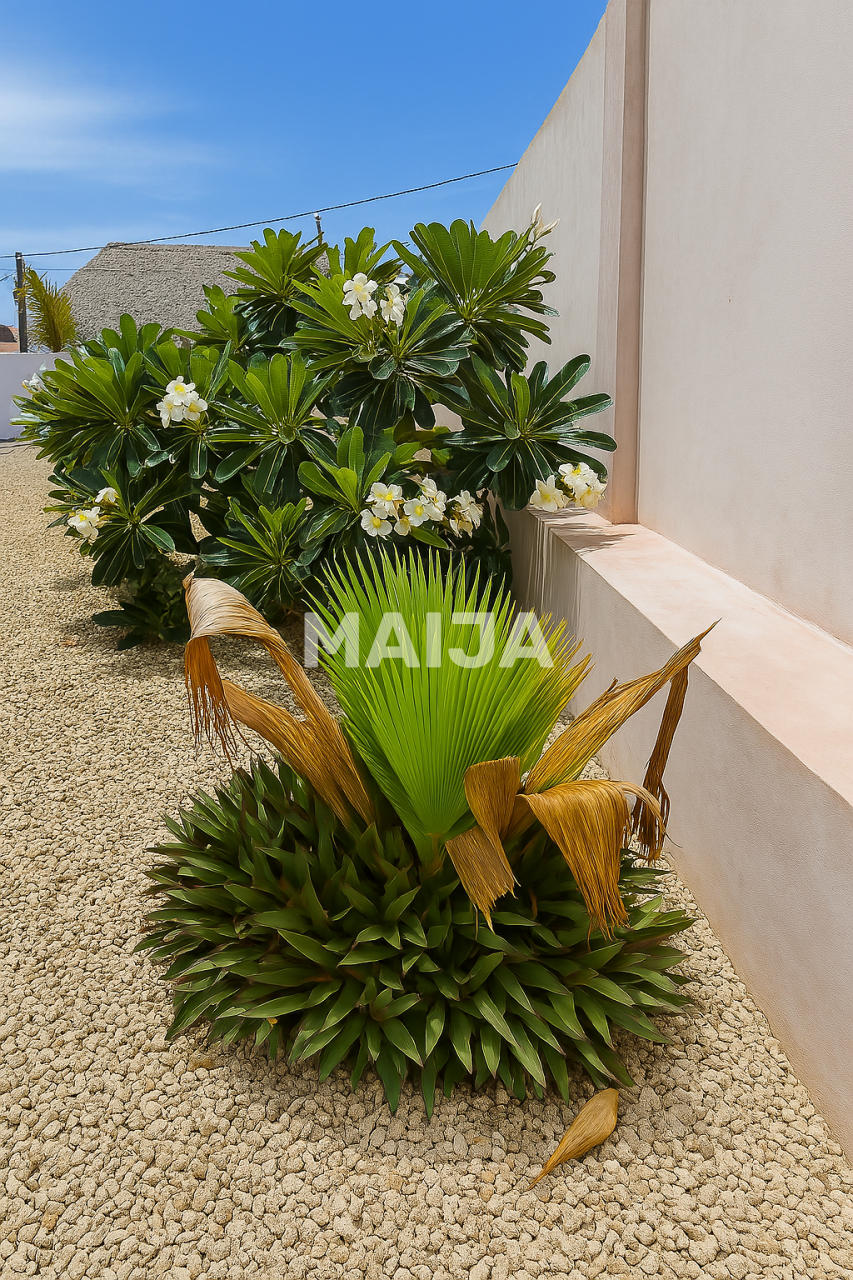 Appartamento a Zanzibar, Tanzania, 6 500 m² - foto 3