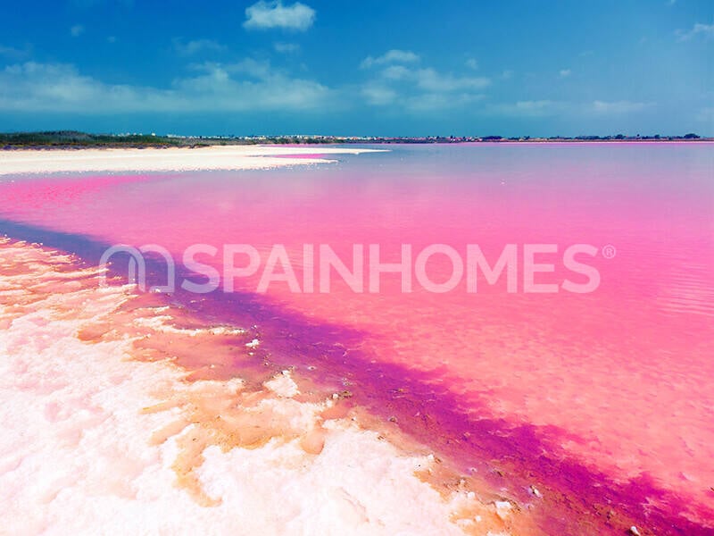 Appartement à Torrevieja, Espagne, 93 m² - image 12