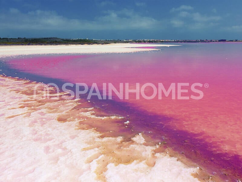 Appartamenti a Torrevieja, Spagna, 55 m² - foto 13