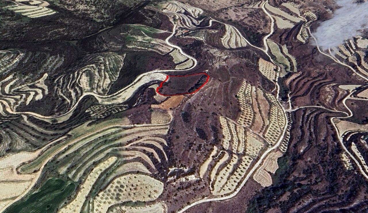 Terreno a Paphos, Cipro, 7 024 m2 - foto 2