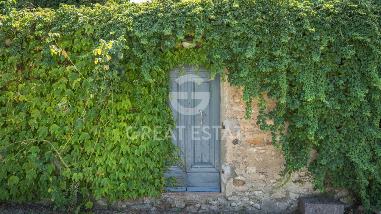 House in Castellina in Chianti, Italy, 820.7 m² - picture 18