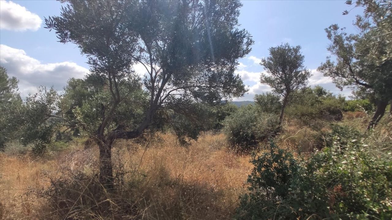 Terreno en Sitonia, Grecia, 4 188 m² - imagen 5