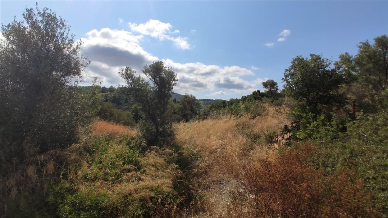 Terreno en Sitonia, Grecia, 4 188 m² - imagen 10