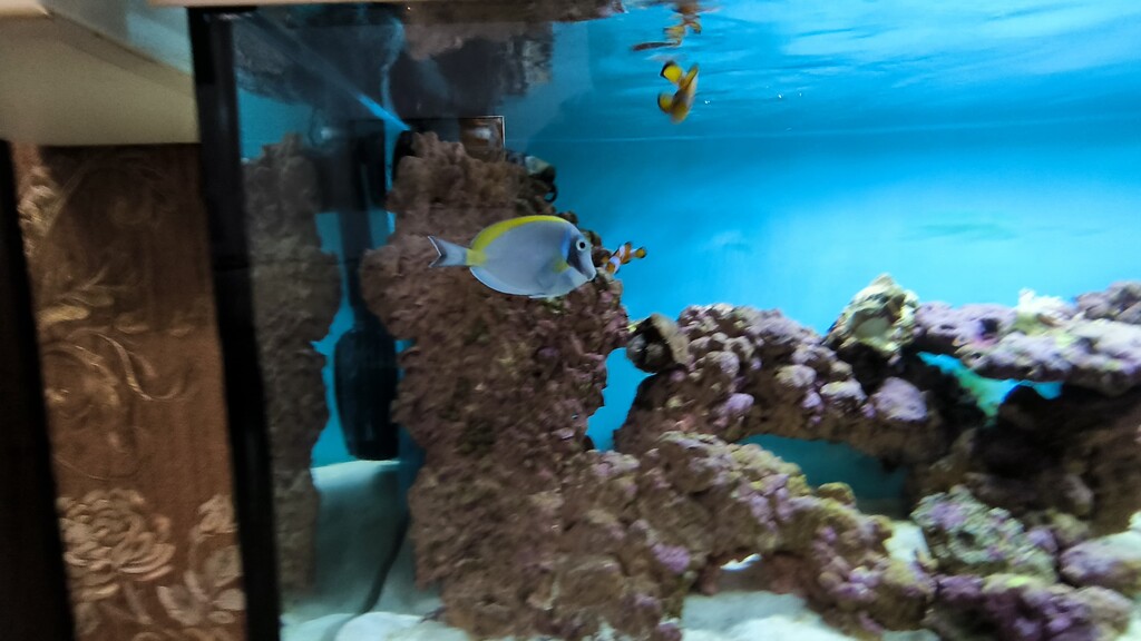 Piso en Olympiaki Akti, Grecia, 90 m² - imagen 17