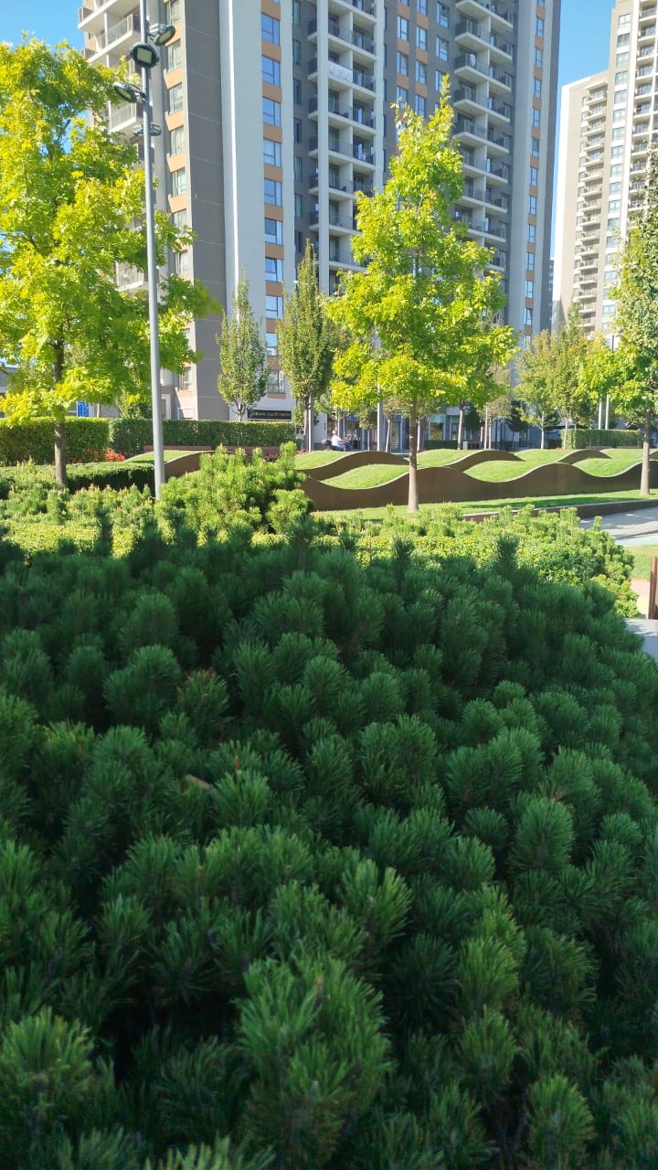 Wohnung in Belgrad, Serbien, 73 m² - Foto 13