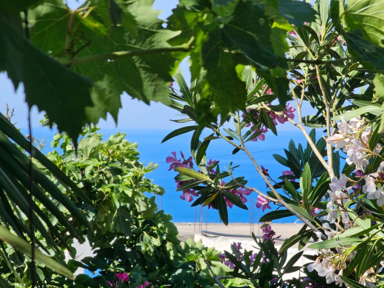 Maison au Bar, Monténégro, 50 m² - image 2