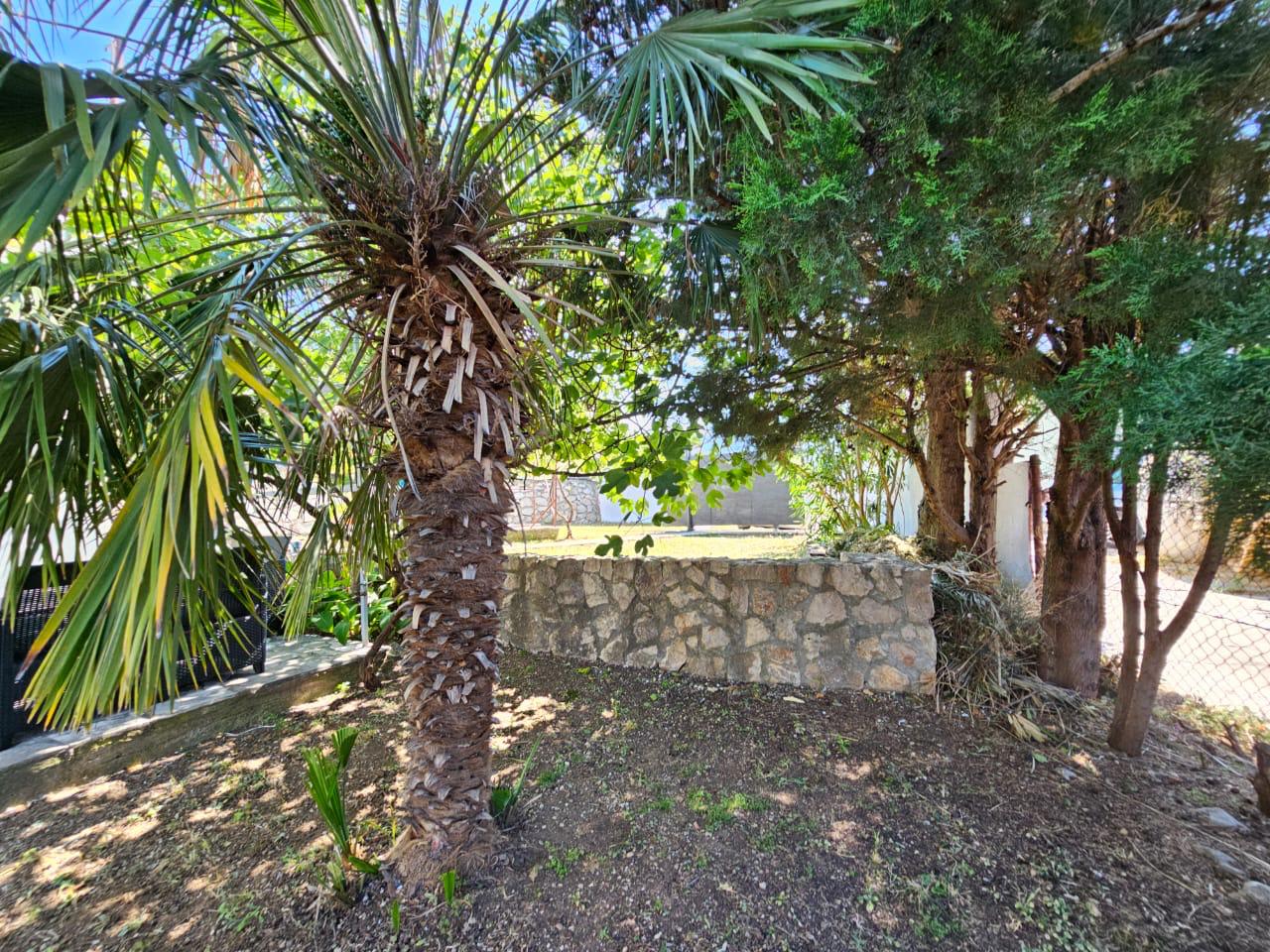 Maison au Bar, Monténégro, 50 m² - image 4