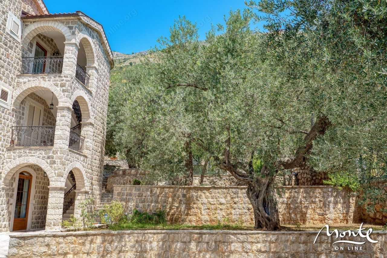 Villa à Rézévici, Monténégro, 480 m² - image 19