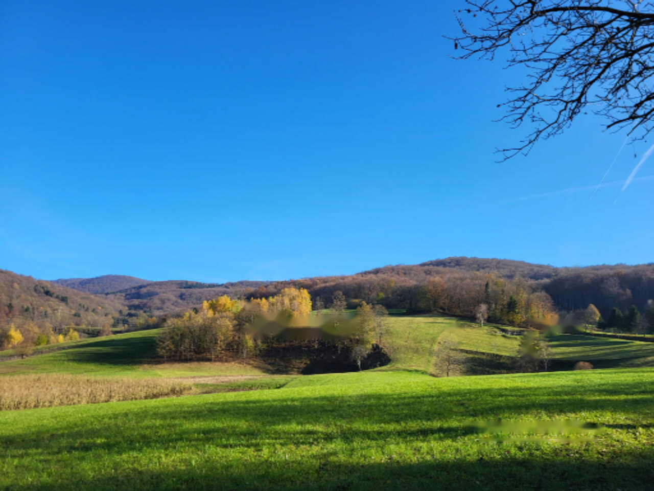Azienda agricola a Novo Mesto, Slovenia, 130 460 m2 - foto 1