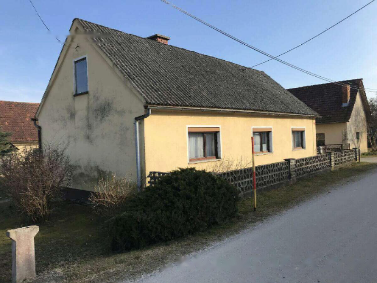 Farm in Apače, Slovenia, 13 415 m² - picture 1