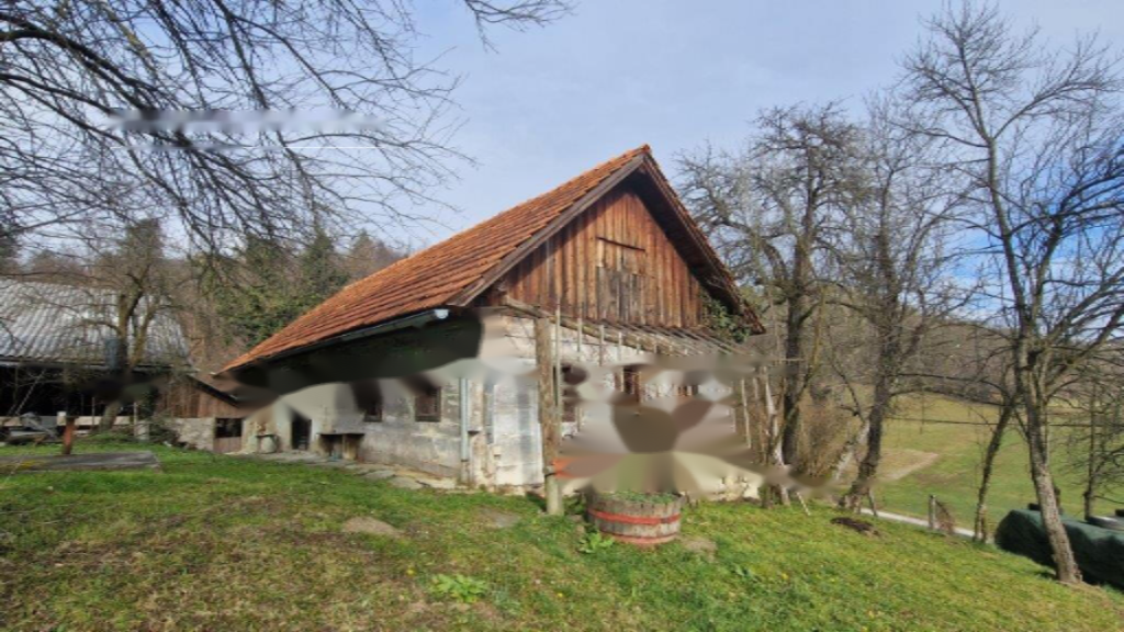 Ferme à Vojnik, Slovénie, 45 000 m² - image 1