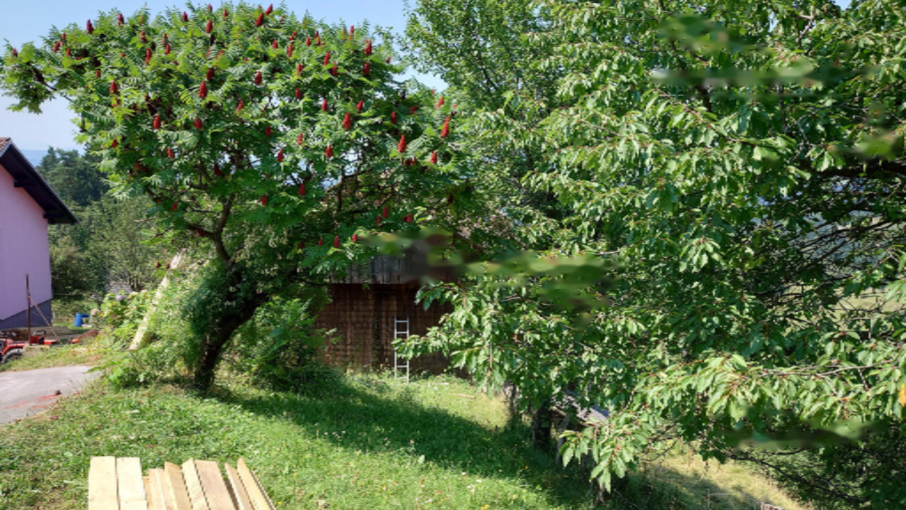 Azienda agricola a Ravne na Koroškem, Slovenia, 40 000 m2 - foto 1