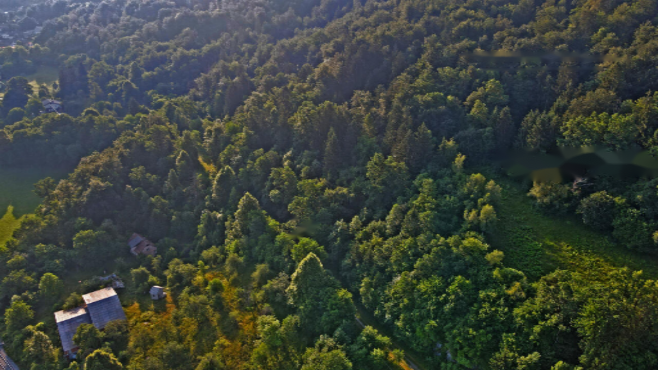 Azienda agricola a Lubiana, Slovenia, 140 416 m2 - foto 1