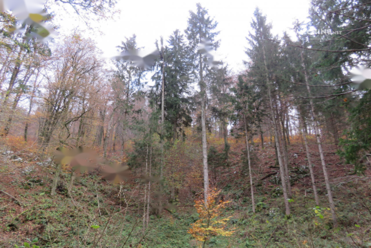 Farm in Postojna, Slowenien, 35 545 m² - Foto 1