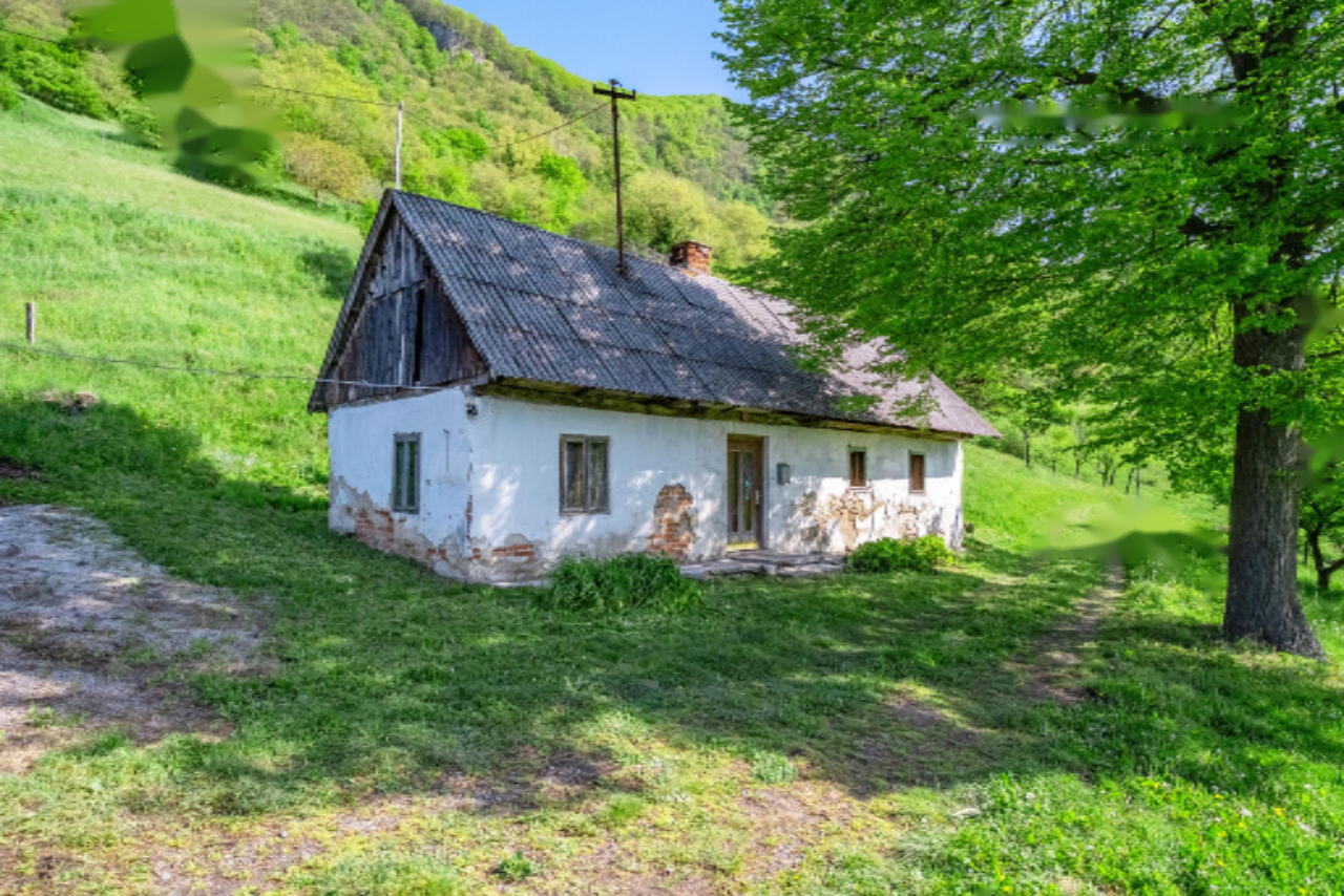 Azienda agricola a Rogaška Slatina, Slovenia, 27 572 m2 - foto 1