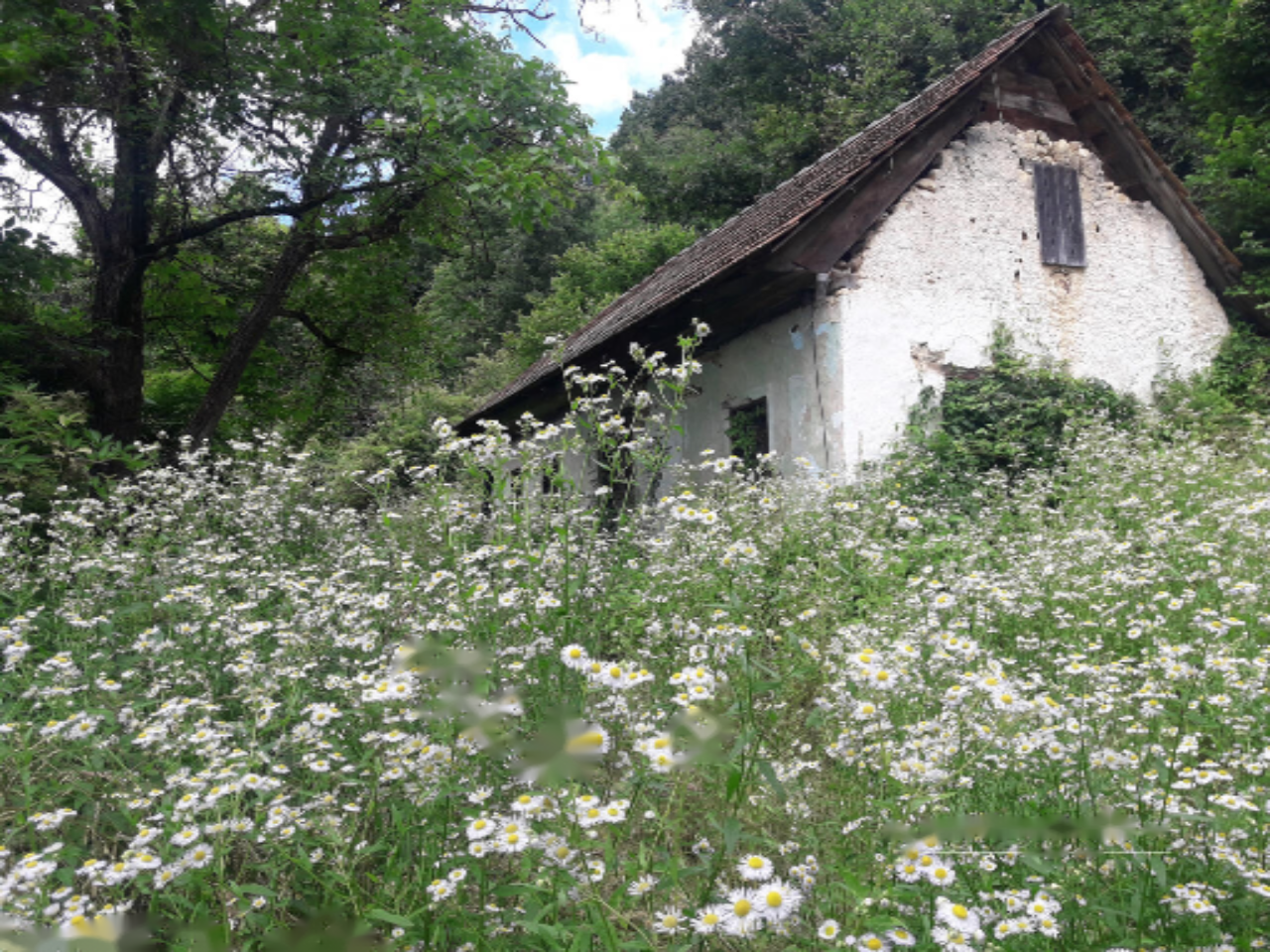 Granja en Krško, Eslovenia, 30 000 m² - imagen 1