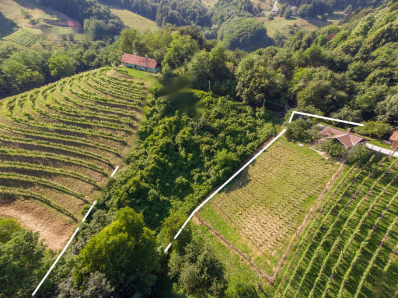 Farm in Dravograd, Slovenia, 13 101 m² - picture 1
