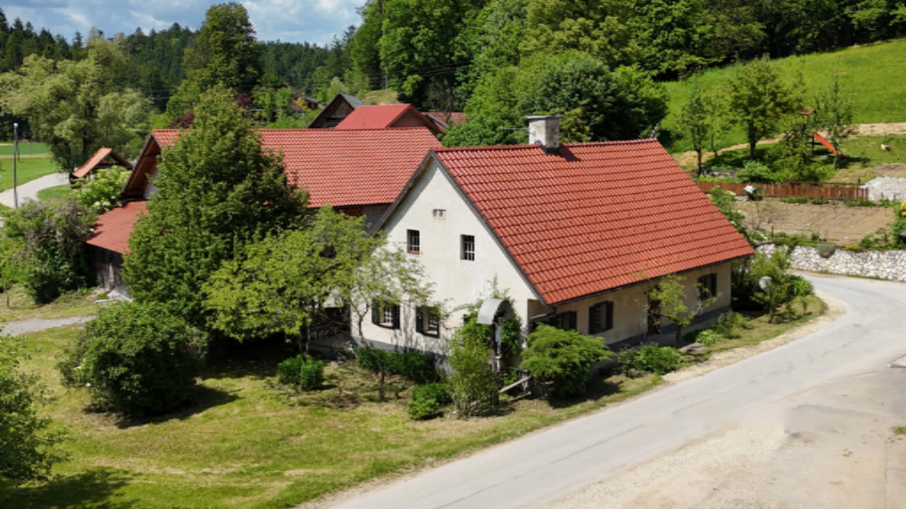 Granja en Sentjernej, Eslovenia, 95 000 m² - imagen 1