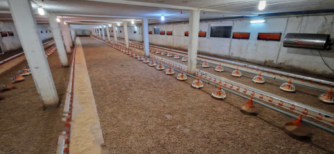 Farm in Slovenska Bistrica, Slowenien, 81 802 m² - Foto 1