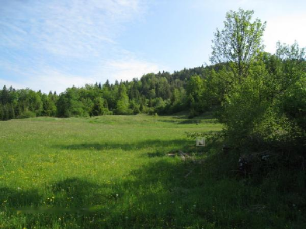 Granja en Cerknica, Eslovenia, 214 m² - imagen 1