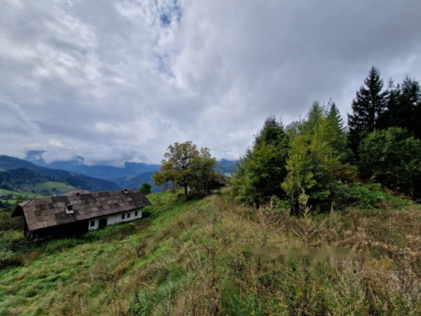 Granja en Muta, Eslovenia, 131 726 m² - imagen 2