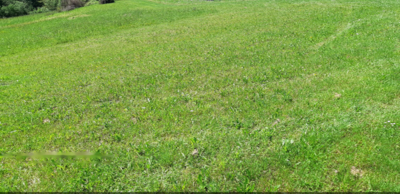 Ferme à Brežice, Slovénie, 43 413 m² - image 2