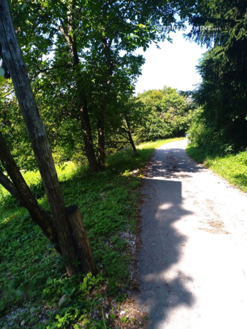 Farm in Moravče, Slowenien, 13 062 m² - Foto 2