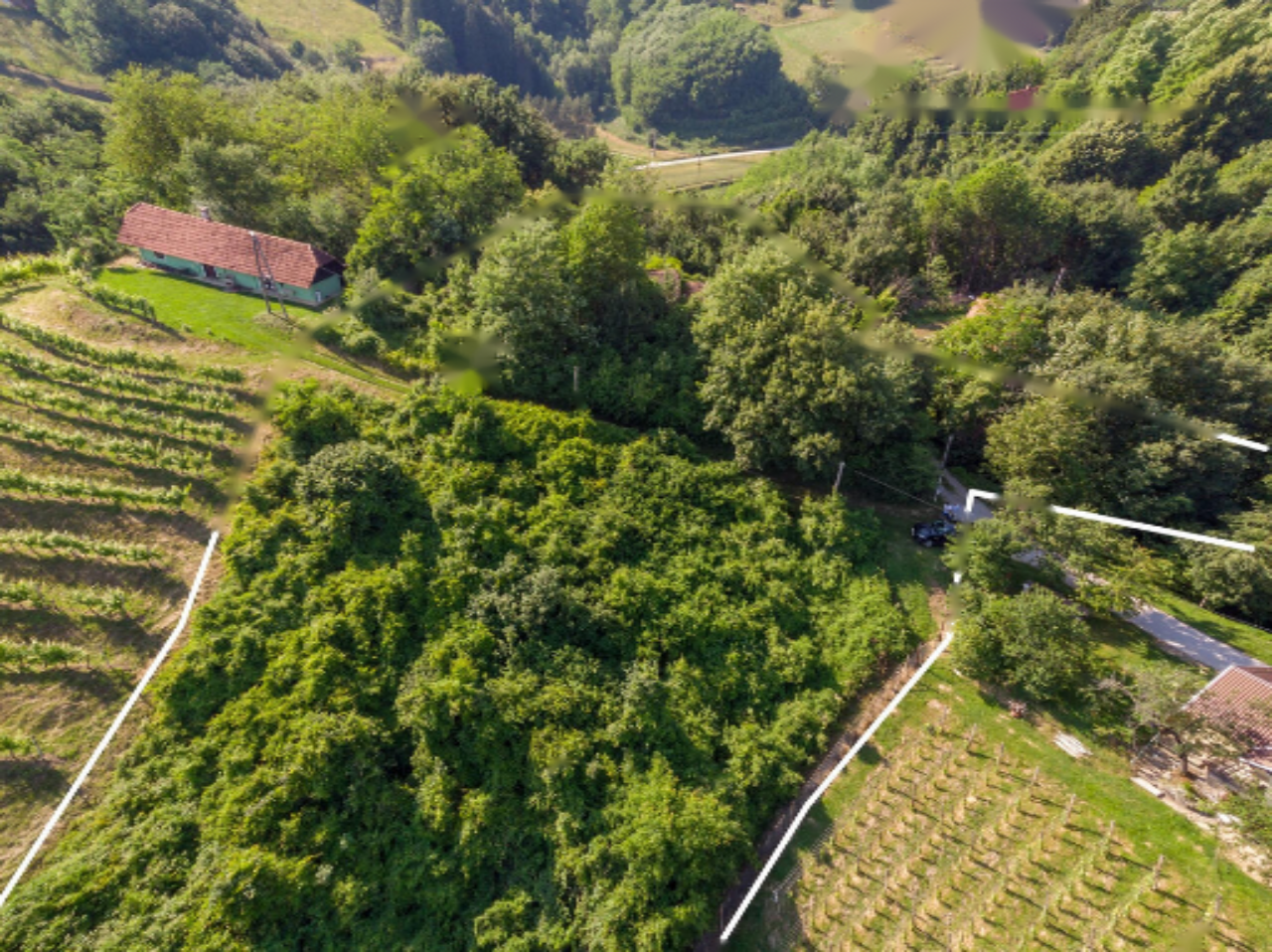 Azienda agricola a Dravograd, Slovenia, 13 101 m2 - foto 3