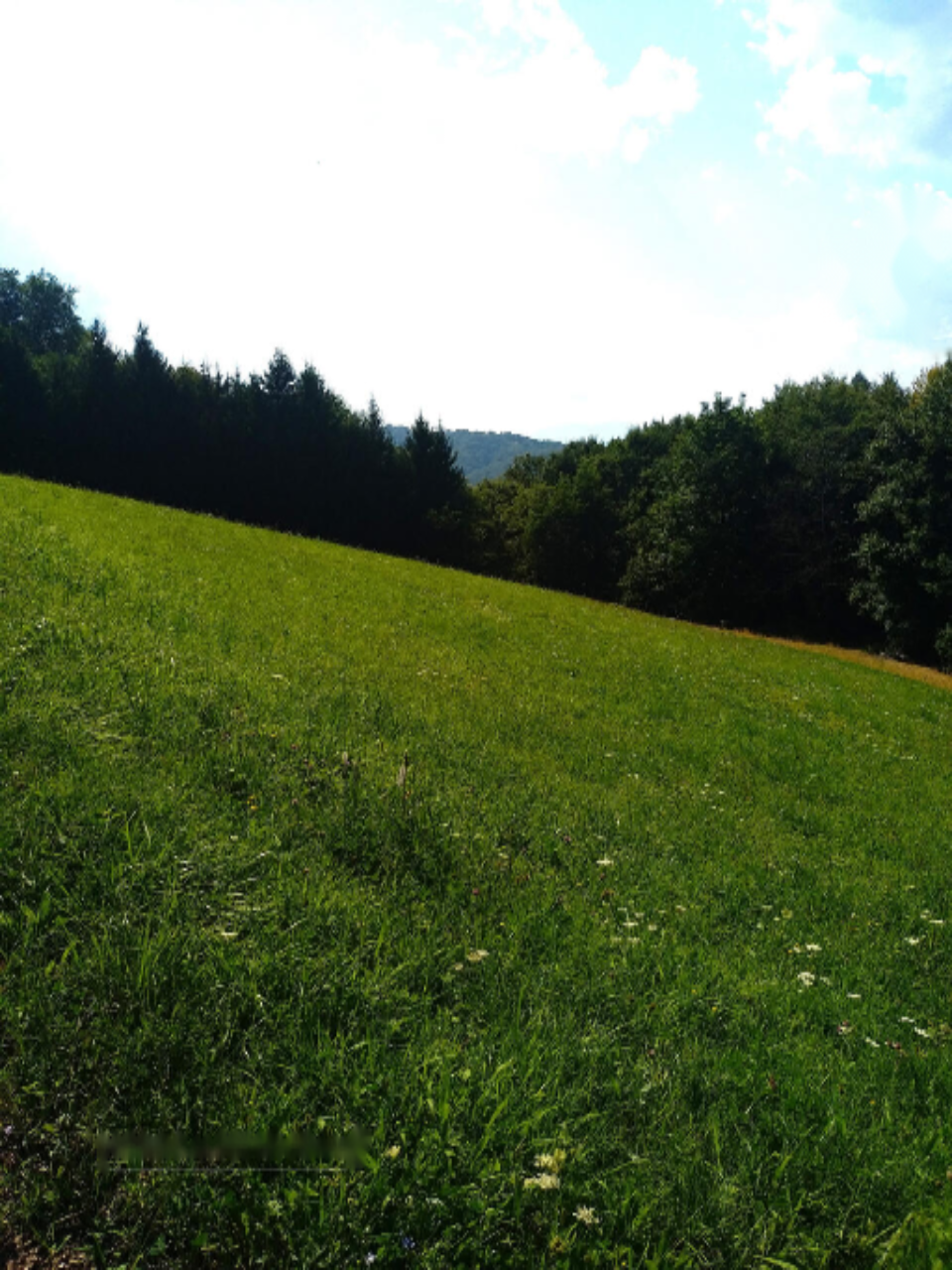 Farm in Moravče, Slowenien, 13 062 m² - Foto 3