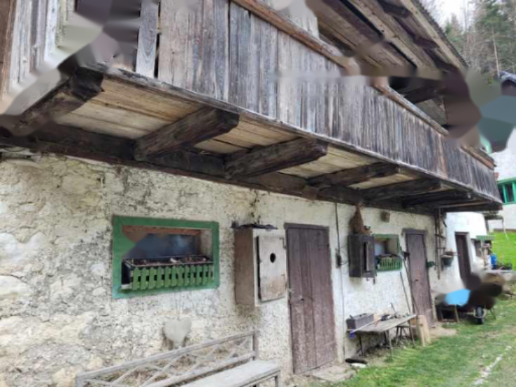 Azienda agricola a Cerknica, Slovenia, 26 317 m2 - foto 4