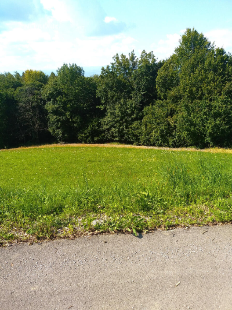 Farm in Moravče, Slowenien, 13 062 m² - Foto 5