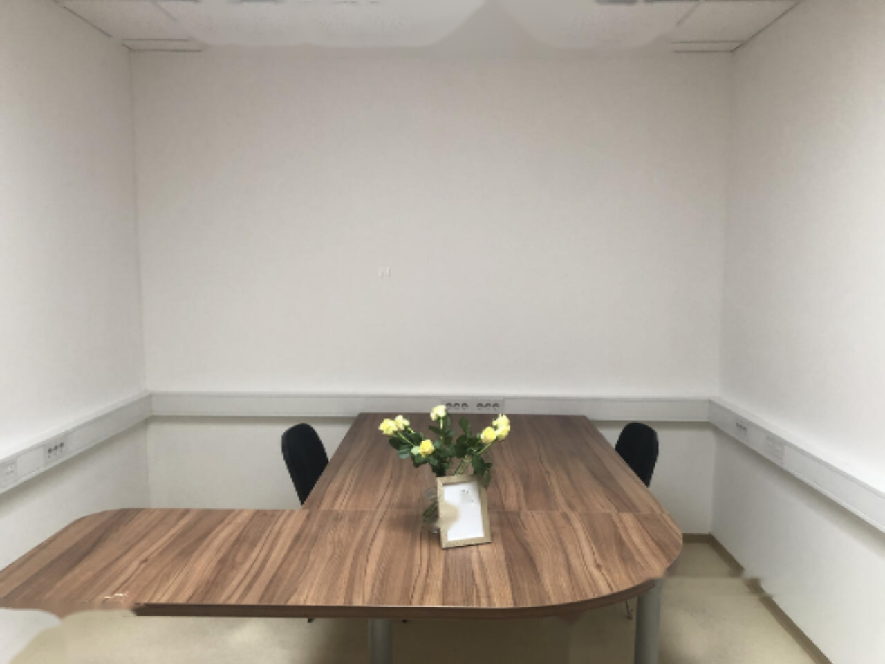 Office in Ljubljana, Slovenia, 500 m² - picture 5