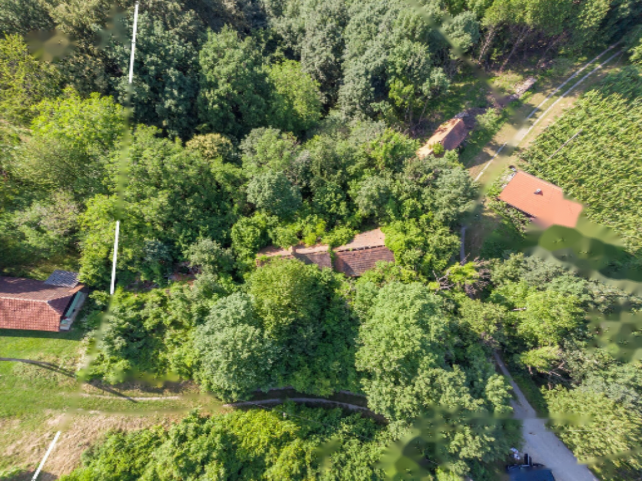 Azienda agricola a Dravograd, Slovenia, 13 101 m2 - foto 5