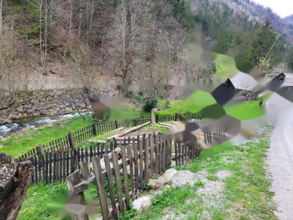 Azienda agricola a Cerknica, Slovenia, 26 317 m2 - foto 5