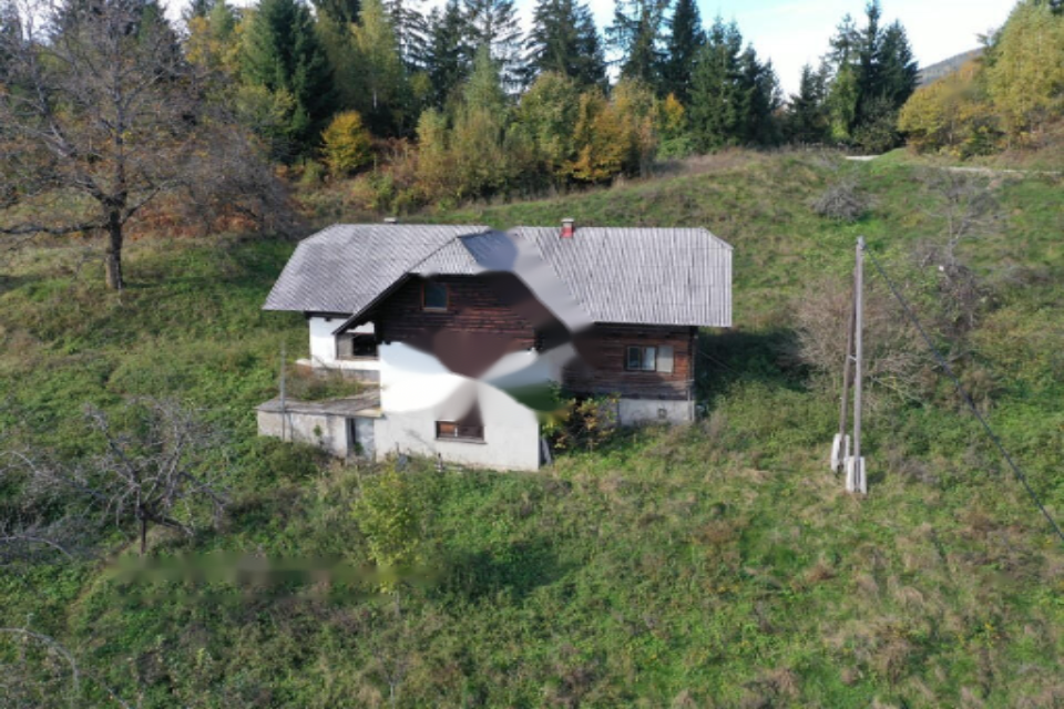 Granja en Muta, Eslovenia, 131 726 m² - imagen 5