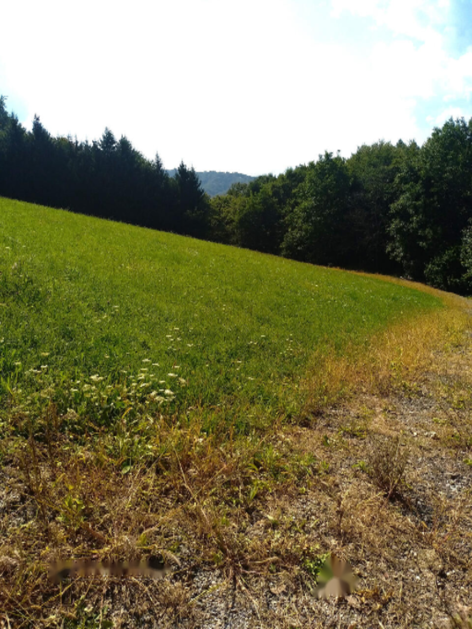 Farm in Moravče, Slowenien, 13 062 m² - Foto 6