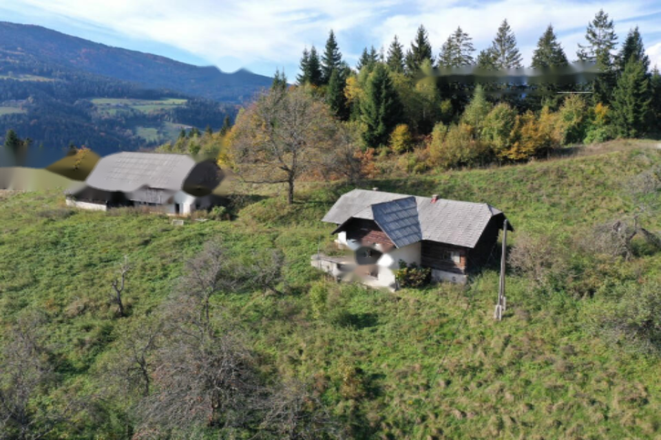 Granja en Muta, Eslovenia, 131 726 m² - imagen 6