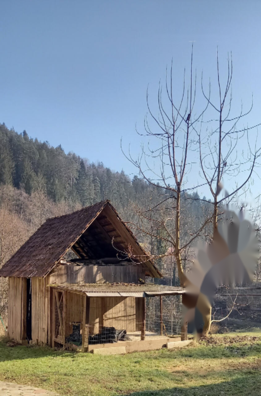 Ferme à Dravograd, Slovénie, 11 816 m² - image 6