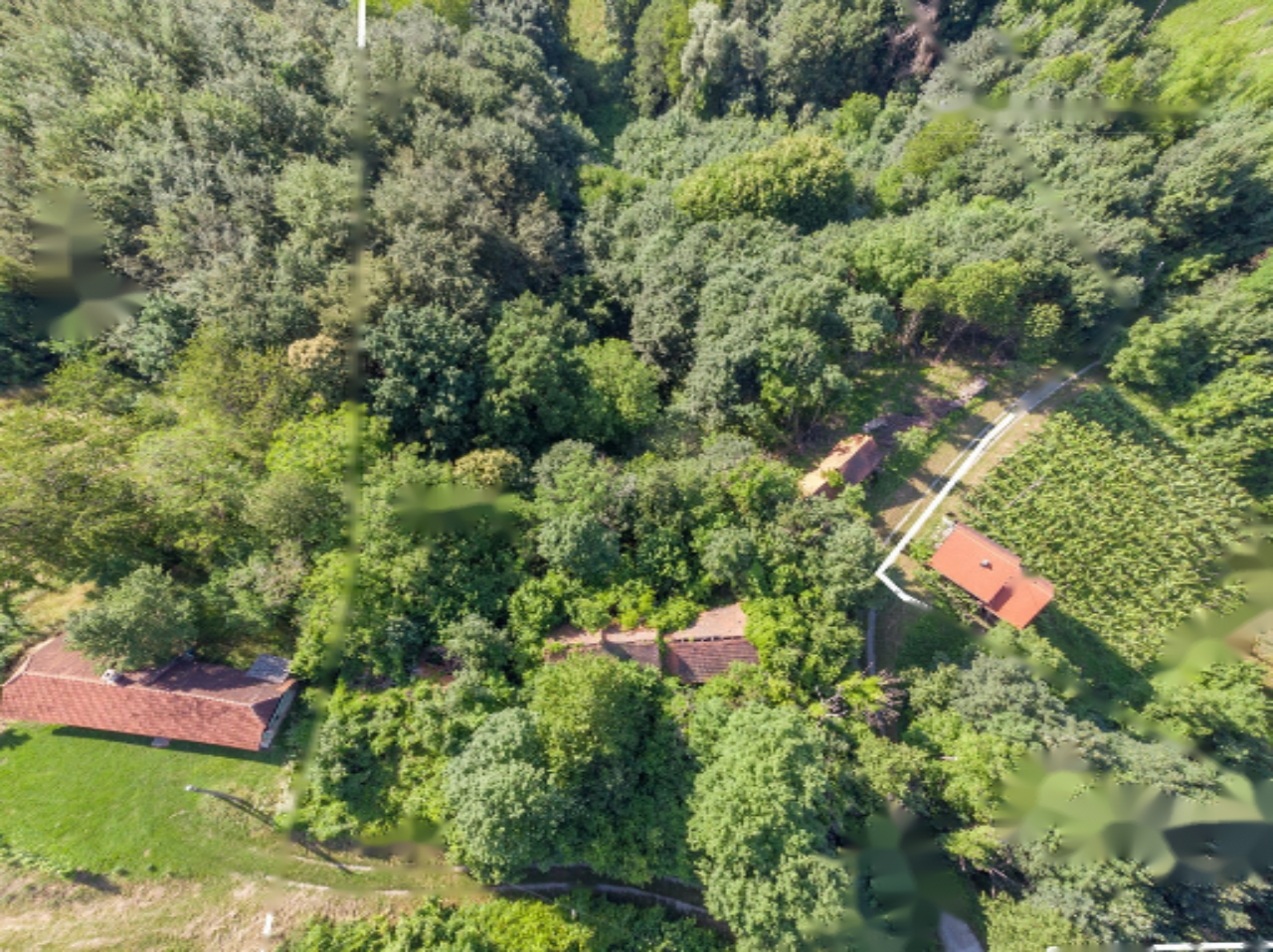 Azienda agricola a Dravograd, Slovenia, 13 101 m2 - foto 6