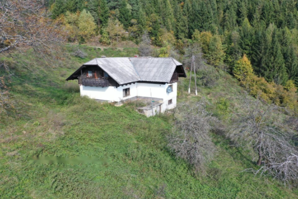 Granja en Muta, Eslovenia, 131 726 m² - imagen 7