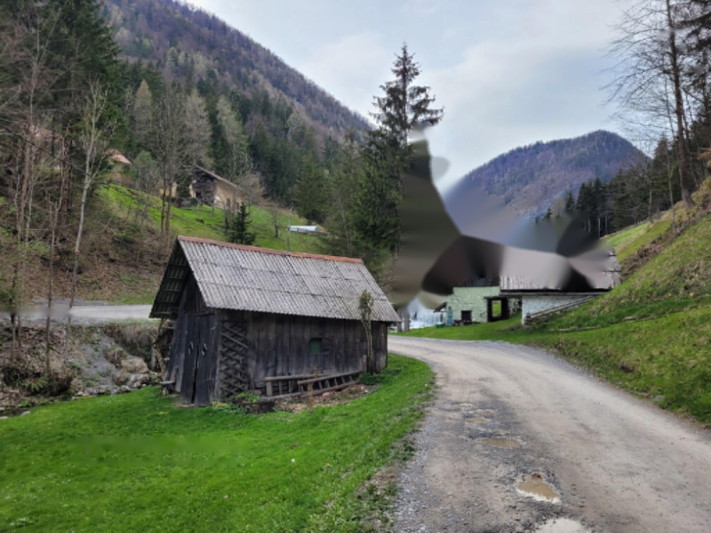 Azienda agricola a Cerknica, Slovenia, 26 317 m2 - foto 6