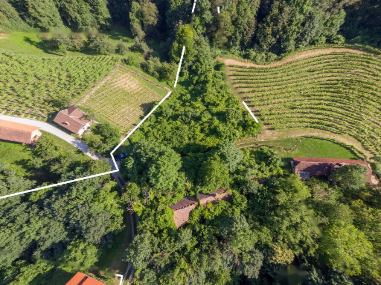 Azienda agricola a Dravograd, Slovenia, 13 101 m2 - foto 7